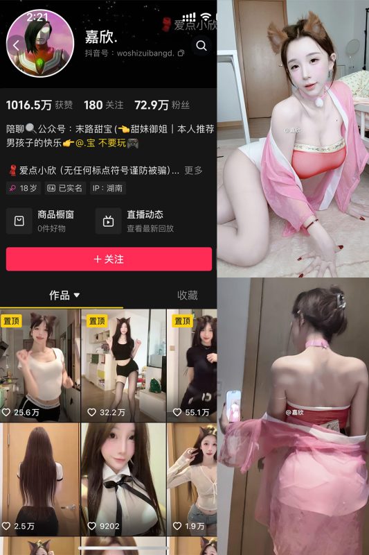 抖音 嘉欣 微密圈  NO.011 【17P4V】最新至：2025.5.12-微密来-