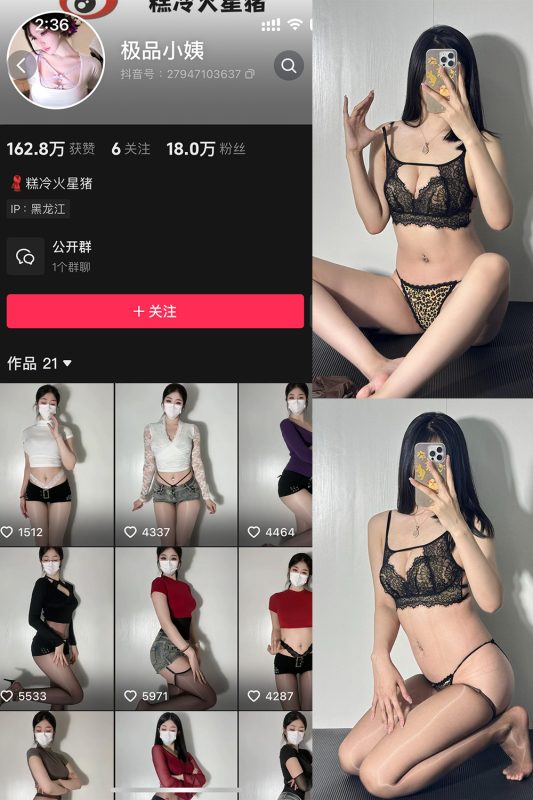 抖音 极品小姨 微密圈  NO.011期 【65P】-微密来-