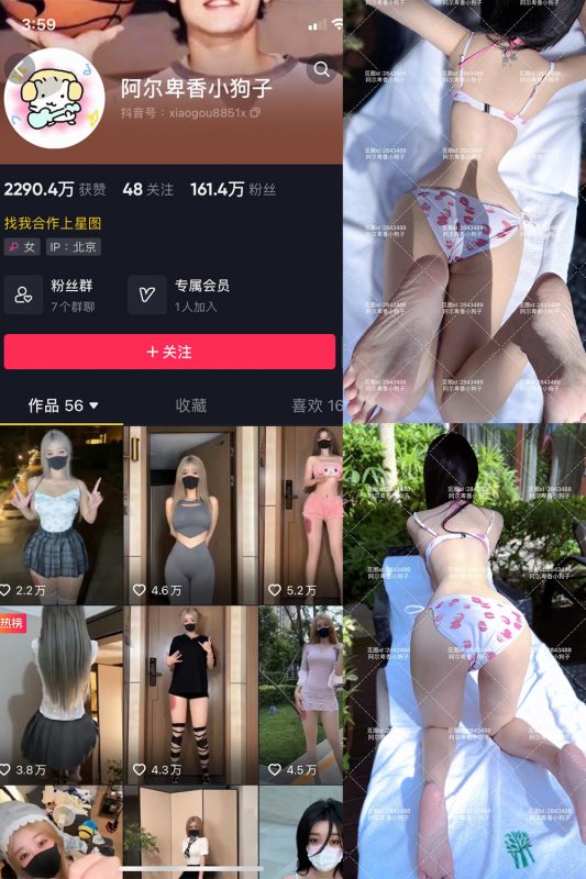 抖音 阿尔卑香小狗子 微密圈  NO.060期 【17P】最新至：2025.2.8-微密来-