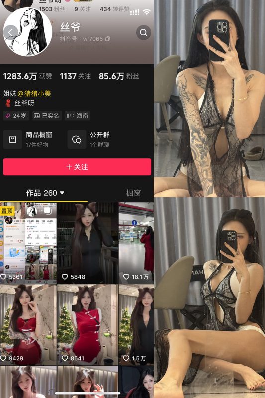 抖音 丝爷 微密圈 NO.003期 【52P4V】最新至：2024.12.13-微密来-