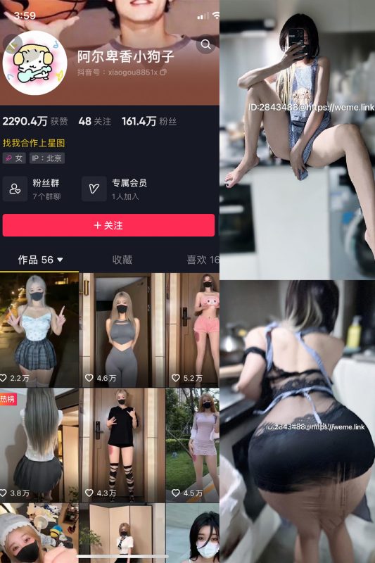 抖音 阿尔卑香小狗子 微密圈  NO.058期 【14P】最新至：2024.9.11-微密来-