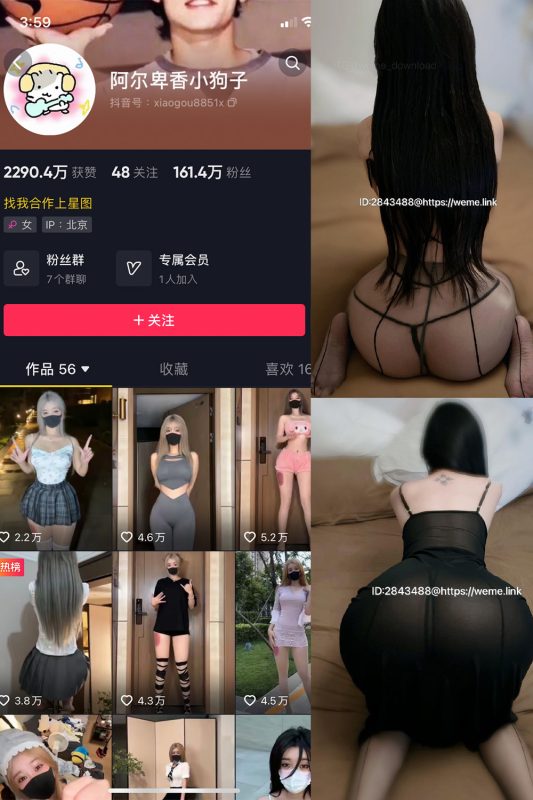 抖音 阿尔卑香小狗子 微密圈  NO.057期 【36P1V】最新至：2024.9.3-微密来-