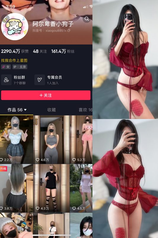 抖音 阿尔卑香小狗子 微密圈  NO.056期 【10P2V】最新至：2024.8.25-微密来-