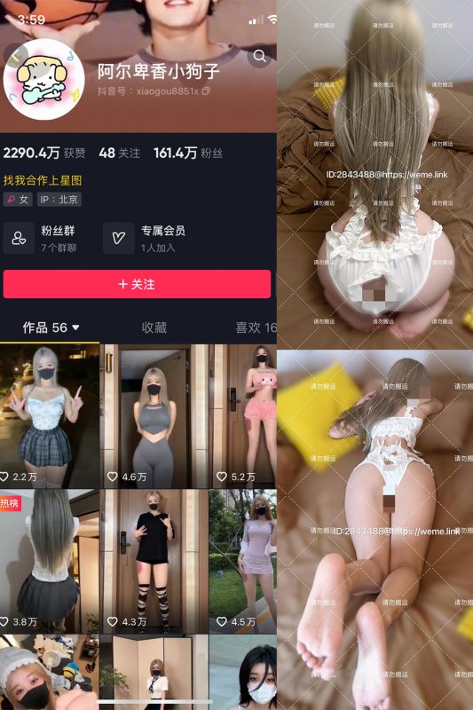 抖音 阿尔卑香小狗子 微密圈  NO.054期 【16P1V】最新至：2024.8.9-微密来-