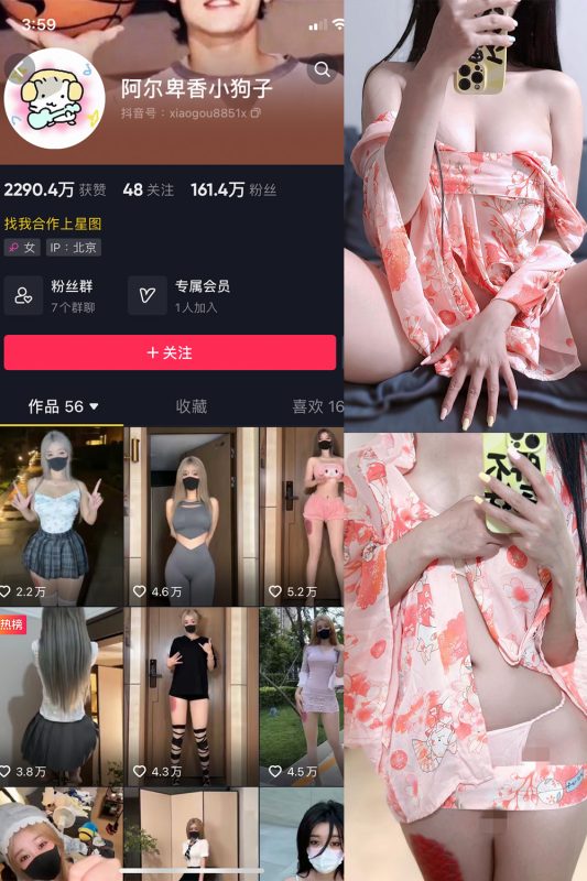 抖音 阿尔卑香小狗子 微密圈  NO.052期 【22P4V】最新至：2024.7.11-微密来-