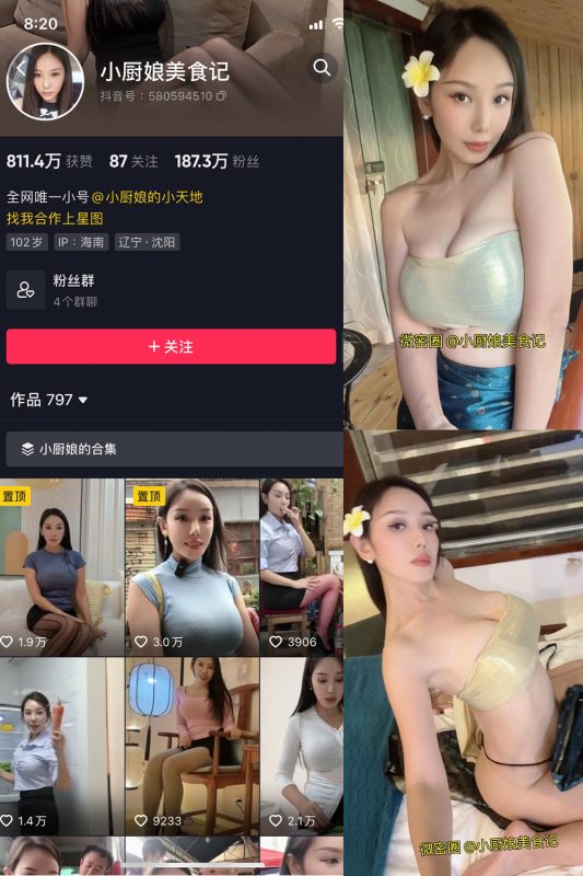 抖音 小厨娘美食记 微密圈  NO.037期 【34P6V】最新至：2024.6.27-微密来-