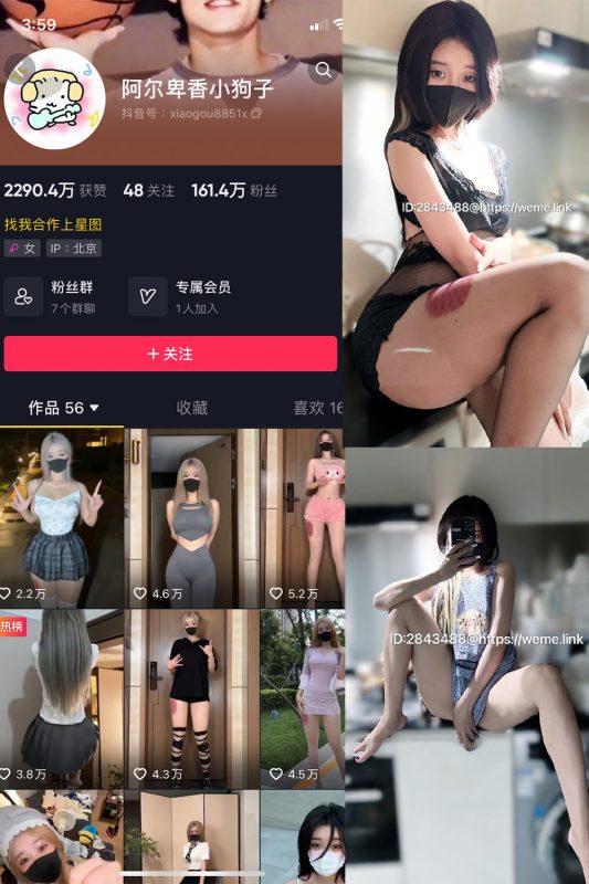 抖音 阿尔卑香小狗子 微密圈  NO.048期 【30P】最新至：2024.6.17-微密来-