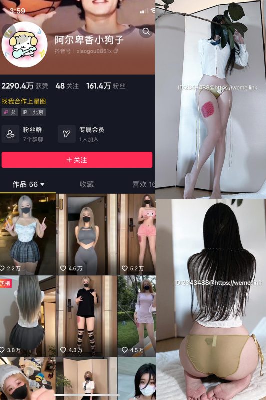 抖音 阿尔卑香小狗子 微密圈  NO.047期 【39P】最新至：2024.6.10-微密来-