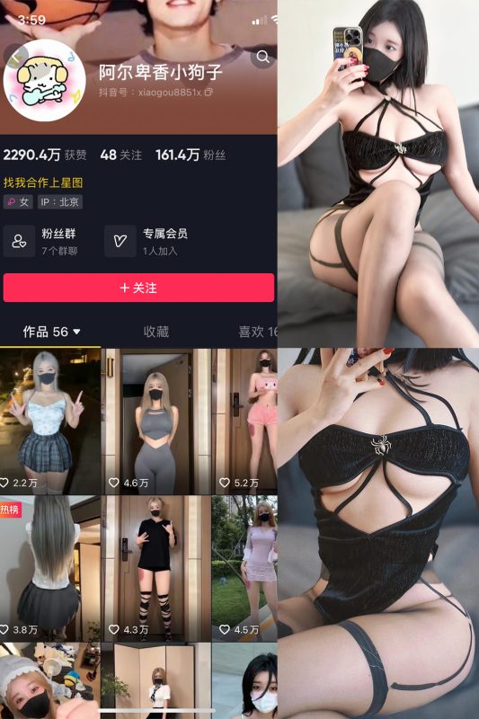 抖音 阿尔卑香小狗子 微密圈  NO.046期 【14P1V】最新至：2024.6.9-微密来-